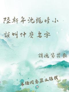 陆斯年沈栀晴小说叫什么名字