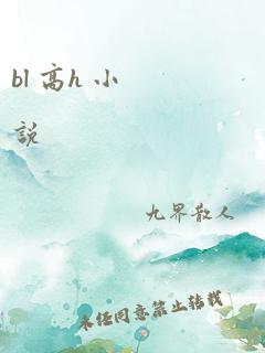 bl 高h 小说