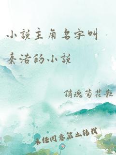 小说主角名字叫秦浩的小说