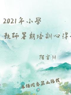 2021年小学教师暑期培训心得体会