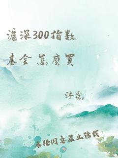 沪深300指数基金 怎么买