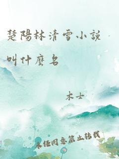 楚阳林清雪小说叫什么名