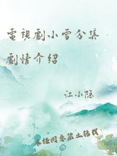 电视剧小雪分集剧情介绍