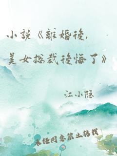 小说《离婚后,美女总裁后悔了》