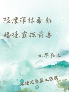 陆怀琛林乔 离婚后,霸总前妻