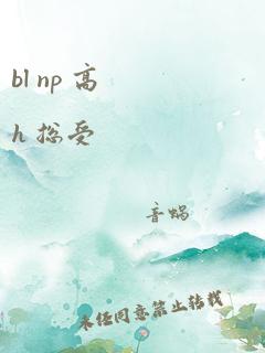 bl np 高h 总受