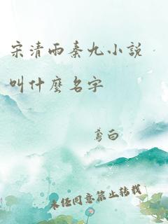 宋清雨秦九小说叫什么名字