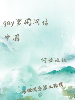 gay男同网站中国