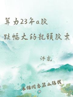 算力23年a股跌幅大的龙头股票