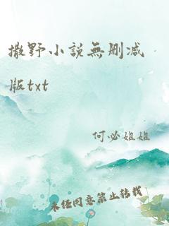 撒野小说无删减版txt