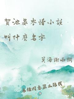 贺池晏岑惜小说叫什么名字