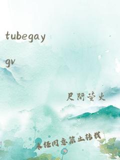 tubegaygv