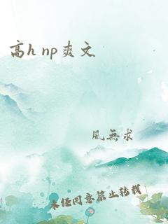 高h np爽文