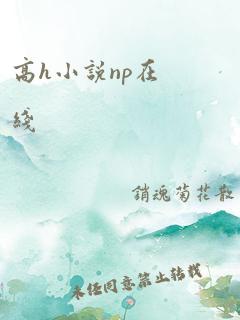 高h小说np在线