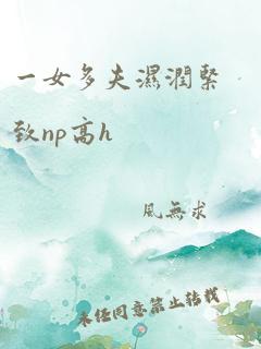 一女多夫湿润紧致np高h