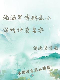 沈涵星傅麒盛小说叫什么名字