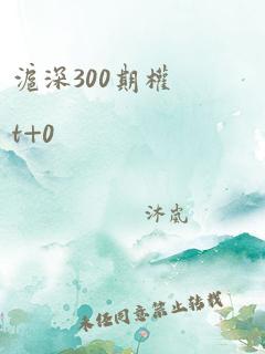 沪深300期权t+0