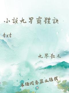 小说九星霸体诀txt