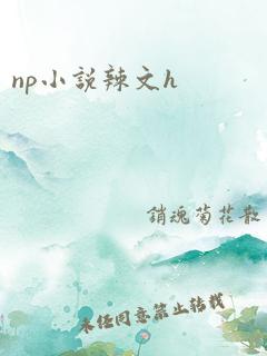 np小说辣文h