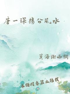 唐一琛杨公风水