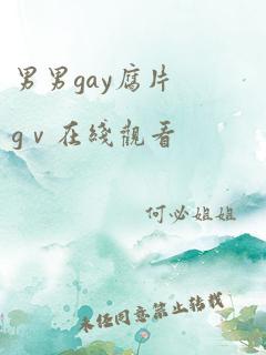 男男gay腐片gⅴ在线观看