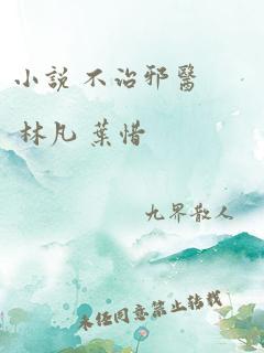 小说 不治邪医 林凡 叶惜