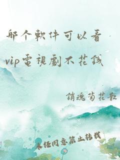 哪个软件可以看vip电视剧不花钱