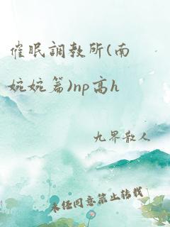 催眠调教所(南婉婉篇)np高h