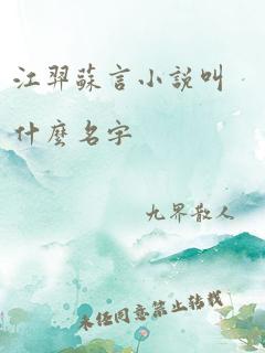 江羿苏言小说叫什么名字