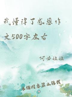 我懂得了感恩作文500字左右