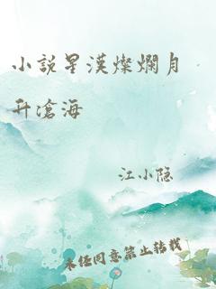 小说星汉灿烂月升沧海