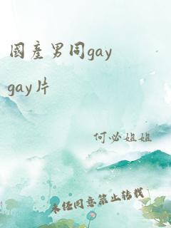 国产男同gaygay片