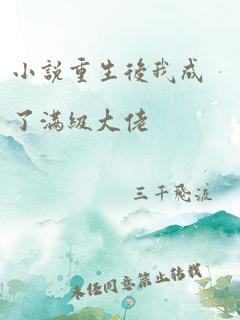 小说重生后我成了满级大佬