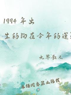 1994 年出生的狗在今年的运气?