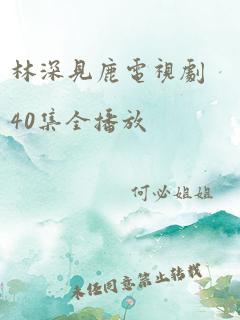 林深见鹿电视剧40集全播放