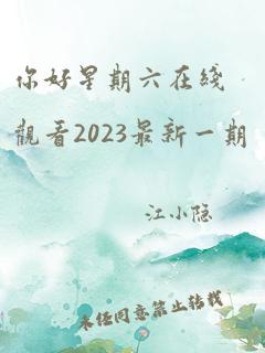 你好星期六在线观看2023最新一期