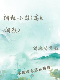 调教小说(高h,调教)