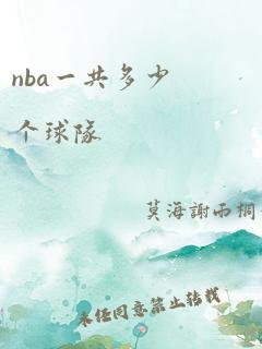 nba一共多少个球队