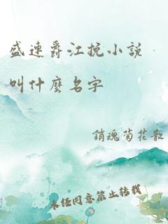 盛连爵江挽小说叫什么名字