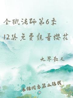 全职法师第6季12集免费观看樱花