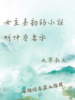 女主秦韵的小说叫什么名字