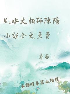 风水大相师陈阳小说全文免费