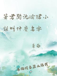 萧君闻沈瑜珺小说叫什么名字