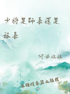 少将是师长还是旅长