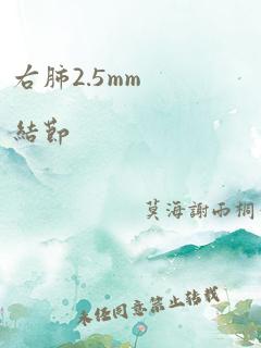 右肺2.5mm结节