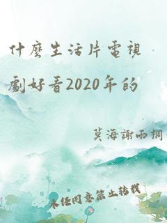 什么生活片电视剧好看2020年的