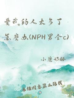 爱我的人太多了怎么办(NPH男全c)