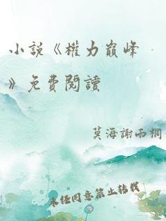 小说《权力巅峰》免费阅读