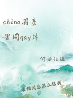 china国产男同gay片