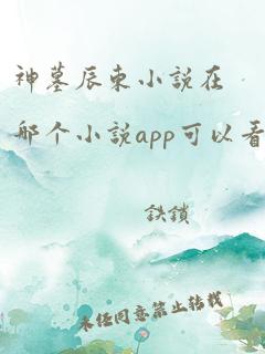 神墓辰东小说在哪个小说app可以看